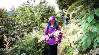 small_071599 cd alaskaimg018.webp